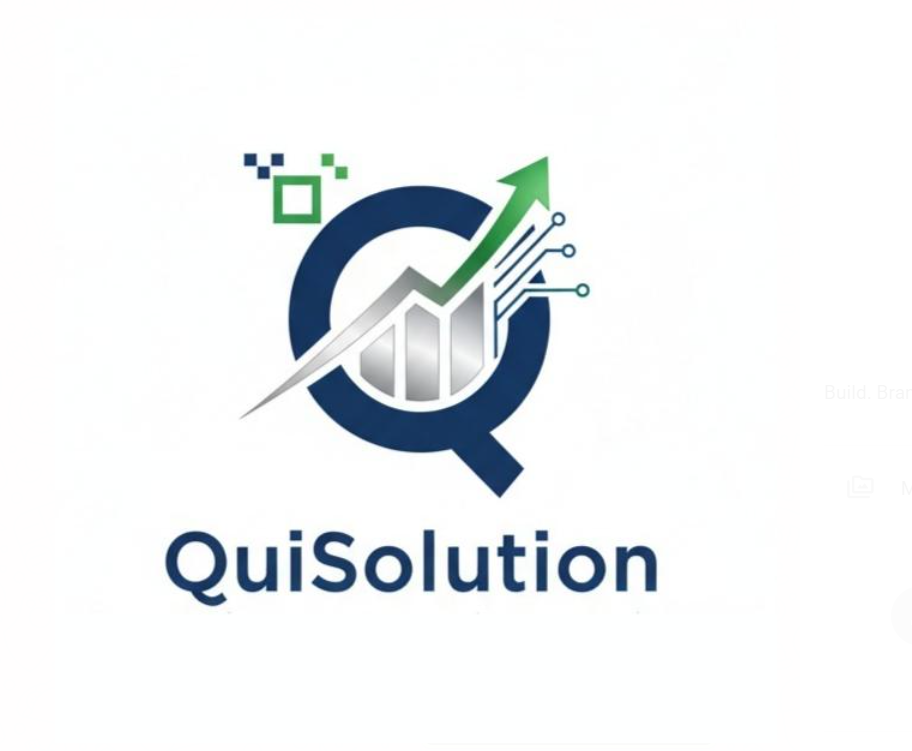 QuiSolution company logo
